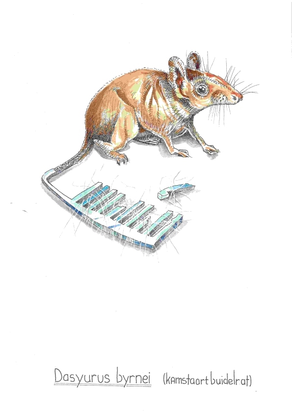Magische Dieren